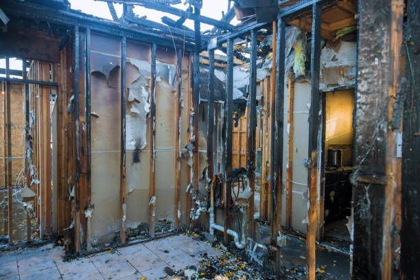 Professional Soot Cleanup technician working in Lopezville, TX